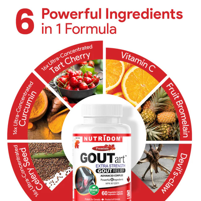 Nutridom GOUTart 60 Capsules