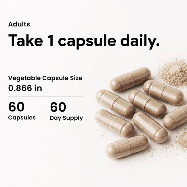 Nutridom Ginkgo Biloba 12000mg 60 Capsules