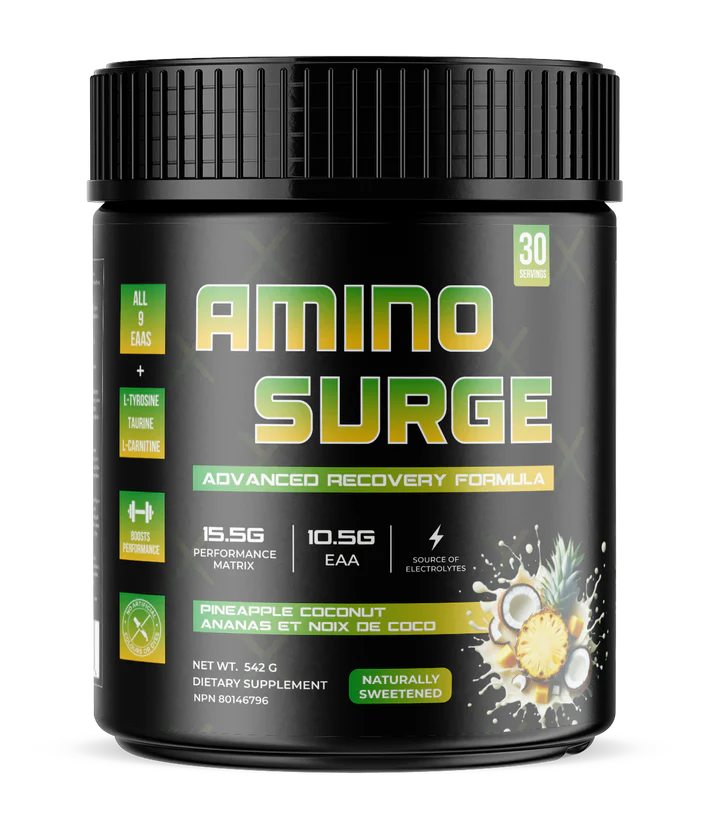 Amino Surge Advanced Recovery Formula 542g