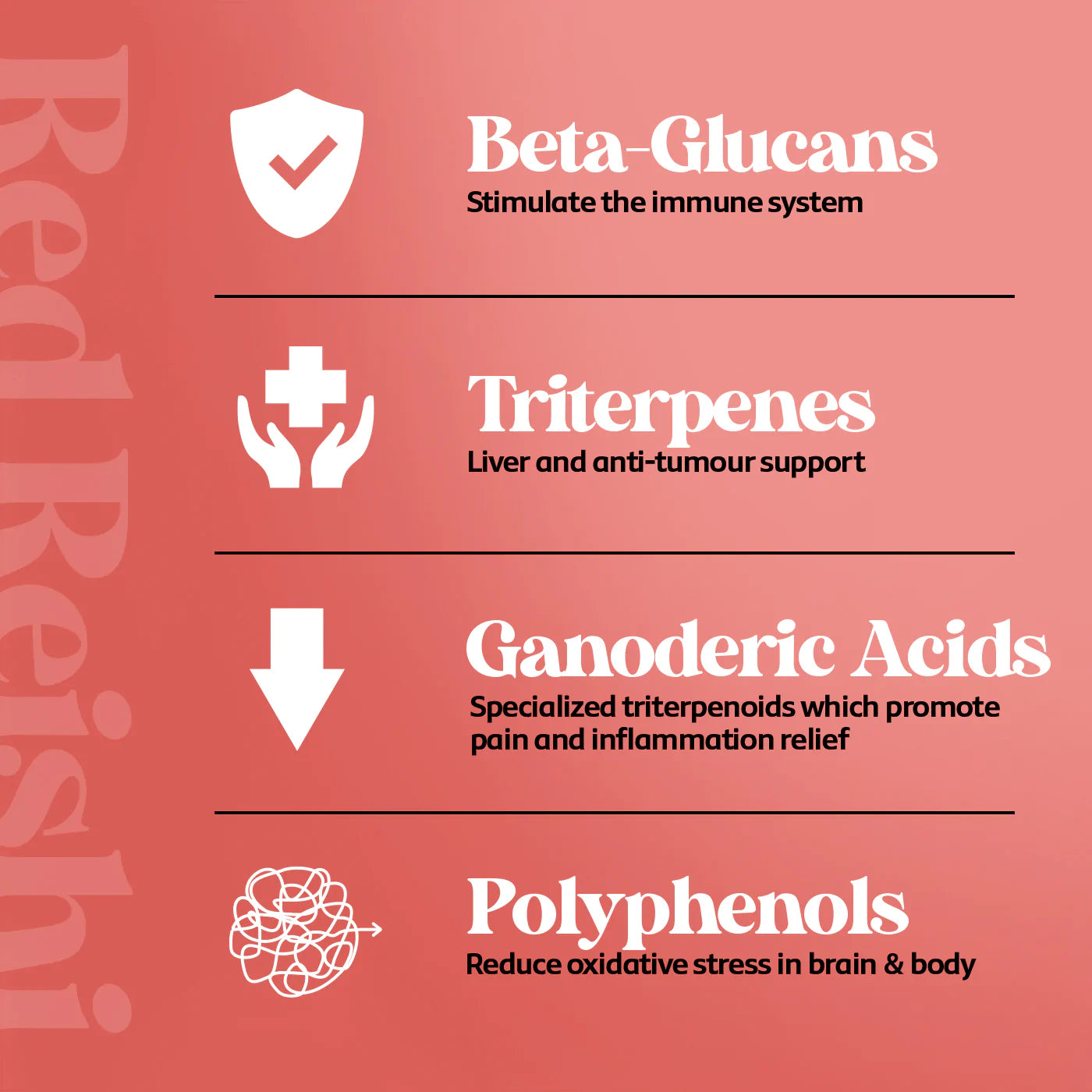 Vibe Mushrooms Red Reishi 60 Capsules