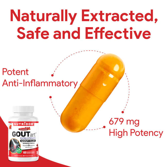 Nutridom GOUTart 60 Capsules