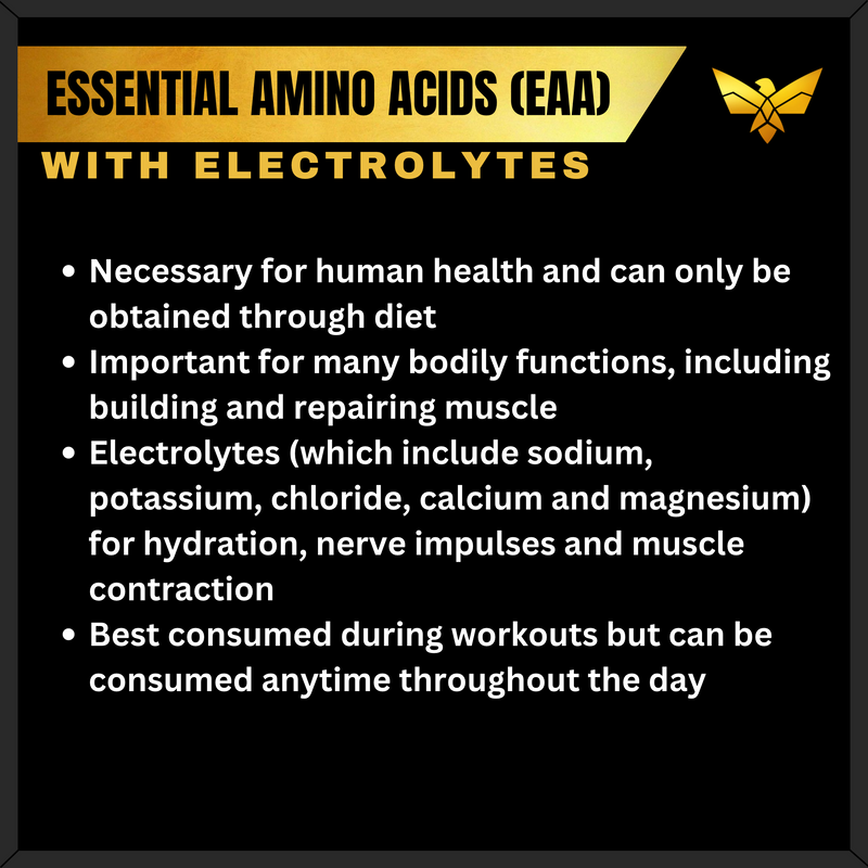 TC Nutrition Hydramino 45 & 100 Servings