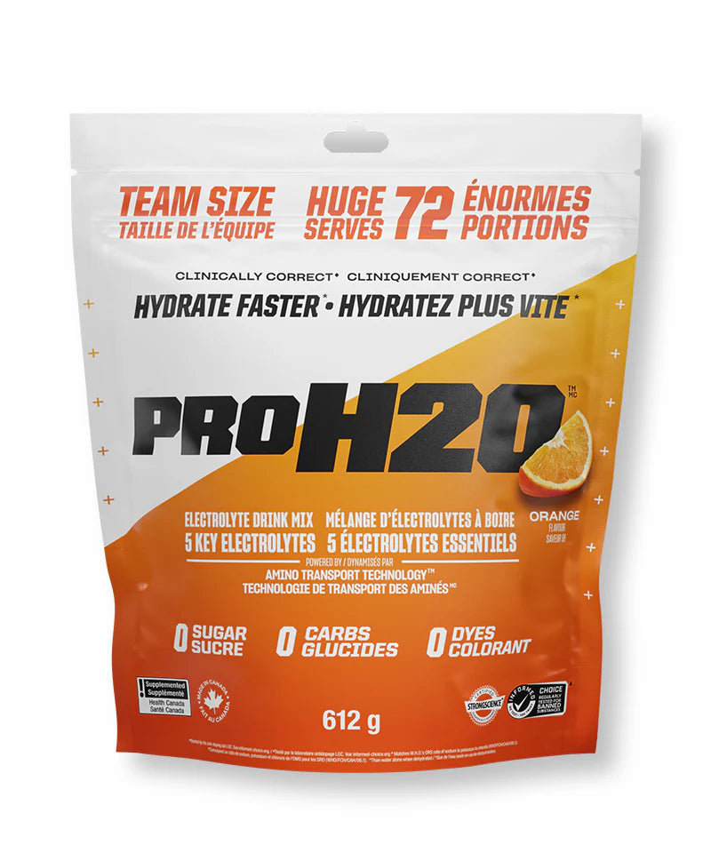 PVL PRO H20 255g & 612g