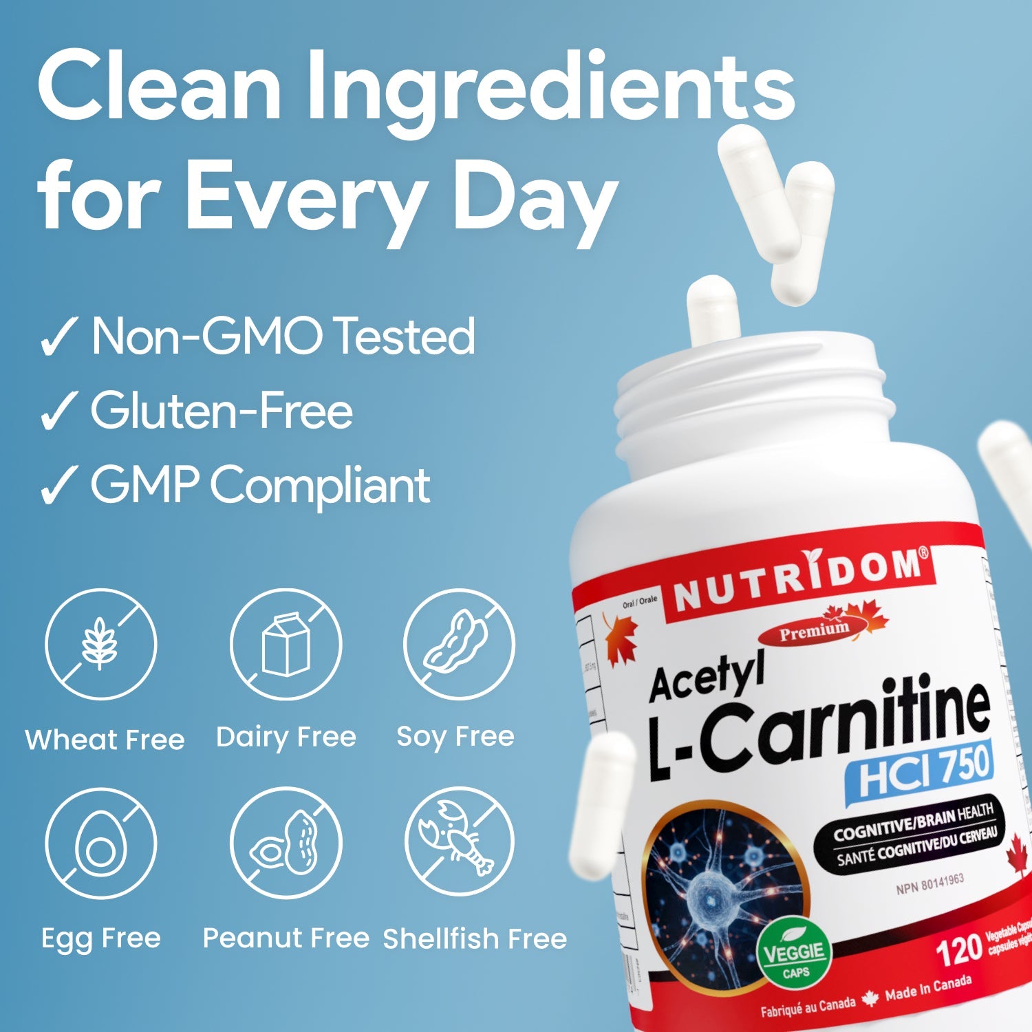Nutridom Acetyl L-Carnitine 120 Capsules