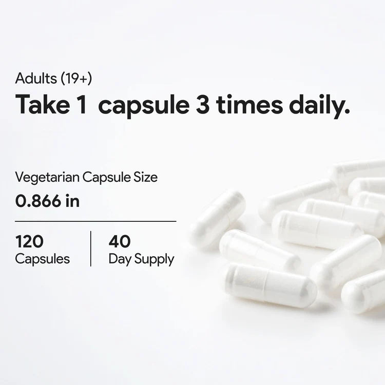 Nutridom Acetyl L-Carnitine 120 Capsules