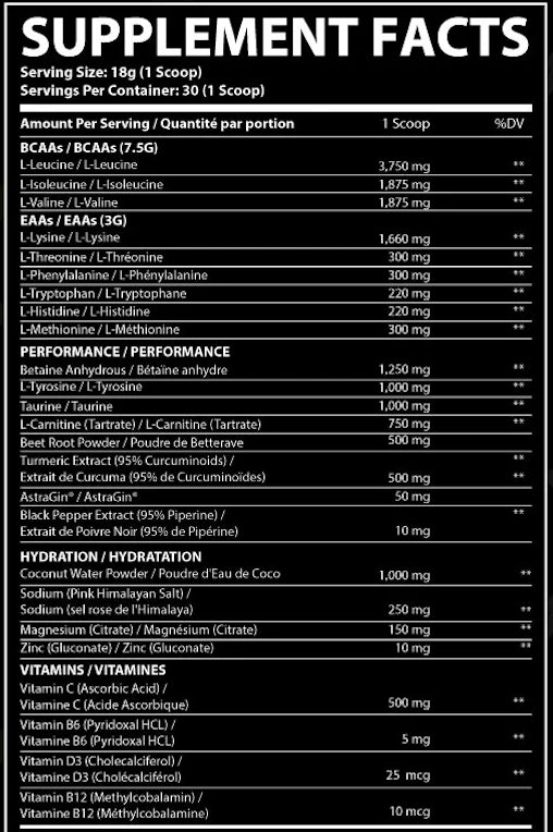 Amino Surge Advanced Recovery Formula 542g