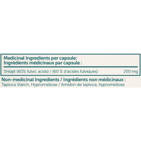Himalaya Shilajit 60 Capsules